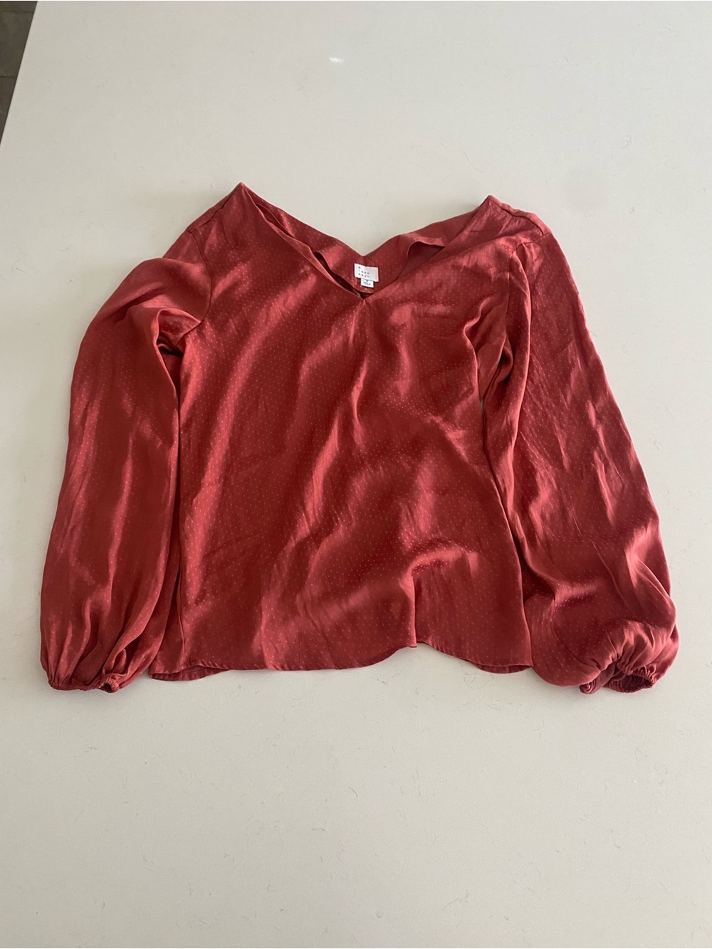 a new day Rust Red V-Neck Long Sleeve Blouse